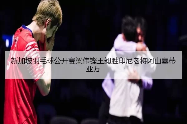 新加坡羽毛球公开赛梁伟铿王昶胜印尼老将阿山塞蒂亚万